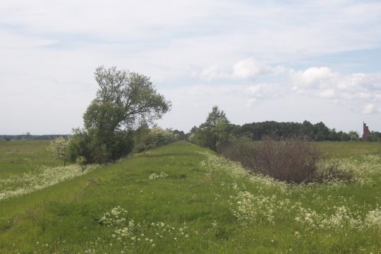 Bahndamm im Osten von Saratovskoje / Groß-Schorellen / Adlerswalde